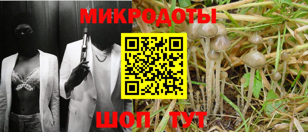 Псилоцибиновые грибы прущие грибы  Вход с VPN  Ишимбай 