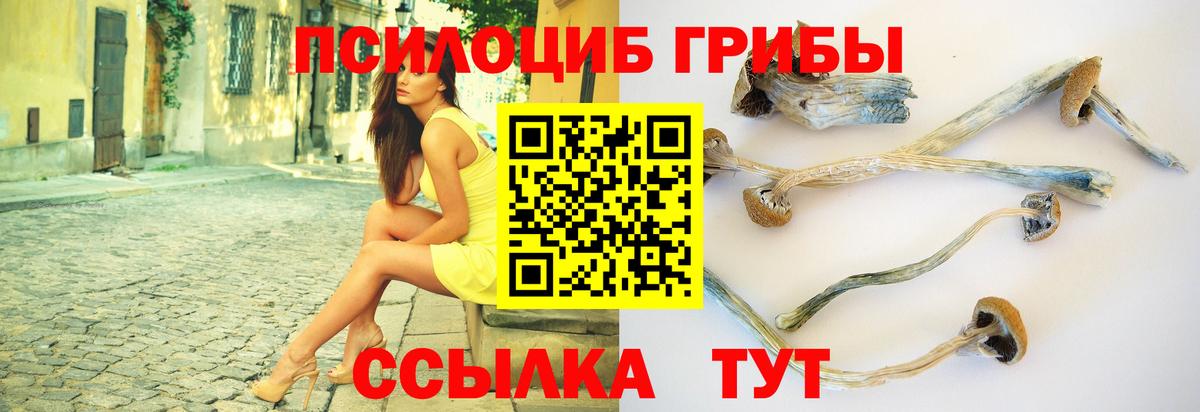 Галлюциногенные грибы ЛСД Ишимбай